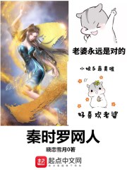 《秦时罗网人》（校对版全本）作者：晓恋雪月 封面