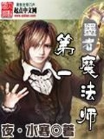 《第一魔法师》（校对版全本）作者：夜·水寒 封面