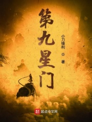 《第九星门》（校对版全本）作者：小刀锋利 封面