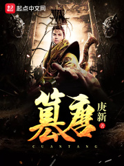 《篡唐》（校对版全本）作者：庚新 封面