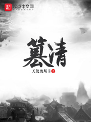 《篡清》（校对版全本）作者：天使奥斯卡 封面