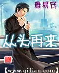 《从头再来》（校对版全本）作者：雅易安 封面