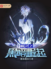 《精灵之黑暗崛起》（校对版全本）作者：槿木槿木 封面