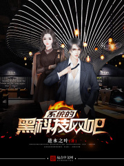 《系统的黑科技网吧》（校对版全本）作者：逆水之叶 封面