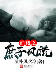《红楼之庶子风流》（校对版全本）作者：屋外风吹凉 封面
