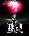 《红袍法师》（校对版全本）作者：雁鱼 封面