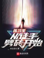 《练习生从徒手劈砖开始》（校对版全本）作者：林白音抖 封面