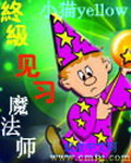 《终极见习魔法师》（精校版全本）作者：小猫yellow 封面