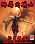 《终焉的骑士》（校对版全本）作者：西贝猫 封面
