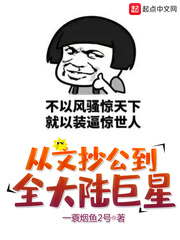 《从文抄公到全大陆巨星》（校对版全本）作者：一蓑烟鱼2 封面