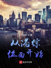 《从港综位面开始》（校对版全本）作者：六万光年 封面