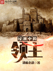 《绿洲中的领主》（校对版全本）作者：济府老赵 封面
