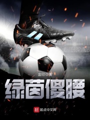 《绿茵傻腰》（校对版全本）作者：金印 封面