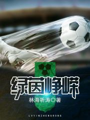 《绿茵峥嵘》（校对版全本）作者：林海听涛 封面