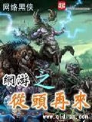 《网游之从头再来》（校对版全本）作者：网络黑侠 封面