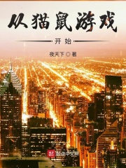 《从猫鼠游戏开始》（校对版全本）作者：夜天下 封面