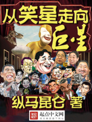 《从笑星走向巨星》（校对版全本）作者：纵马昆仑 封面