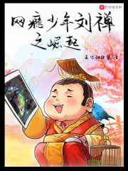 《网瘾少年刘禅之崛起》（校对版全本）作者：爱喝甜辣酱 封面