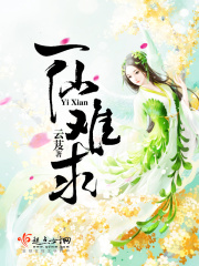 《一仙难求》（校对版全本）作者：云芨 封面