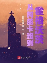 《从阿兹卡班到霍格沃茨》（校对版全本）作者：我只是鸽子呀 封面