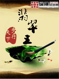 《翡翠王》（校对版全本）作者：步行天下 封面
