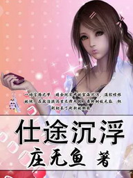 《仕途沉浮》（校对版全本）作者：庄无鱼 封面