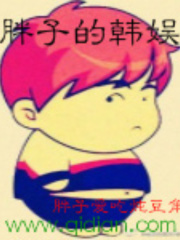 《胖子的韩娱》（校对版全本）作者：胖子爱吃炖豆角 封面