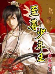 《至尊少年王》（校对版全本）作者：飞舞激扬 封面