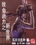 《致命武力之新世界》（校对版全本）作者：实在没选择 封面