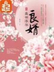 《良婿》（校对版全本）作者：意千重 封面