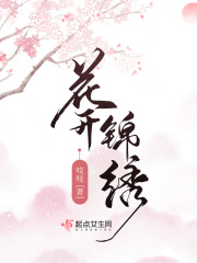 《花开锦绣》（校对版全本）作者：吱吱 封面
