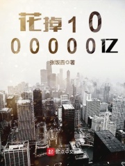 《花掉1000000亿》（校对版全本）作者：张饭否 封面