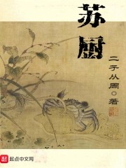 《苏厨》（校对版全本）作者：二子从周 封面