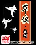 《草侠》（校对版全本）作者：成钢 封面