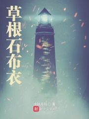 《草根石布衣》（校对版全本）作者：中秋月明 封面