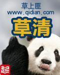 《草清》（校对版全本）作者：草上匪 封面