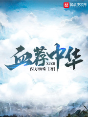 《血荐中华》（校对版全本）作者：西方蜘蛛 封面