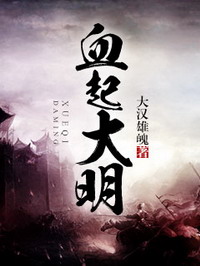 《血起大明》（校对版全本）作者：大汉雄魂 封面