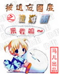 《被遗忘国度之旅游团》（校对版全本）作者：流浪的马儿 封面