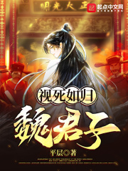 《视死如归魏君子》（校对版全本）作者：平层 封面