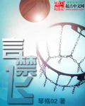 《言禁飞》（校对版全本）作者：琴殇02 封面