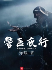 《警医夜行》（校对版全本）作者：弹琴 封面