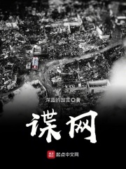 《谍网》（校对版全本）作者：深蓝的国度 封面