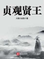 《贞观贤王》（校对版全本）作者：大眼小金鱼 封面