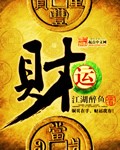 《财运》（校对版全本）作者：江湖醉鱼 封面