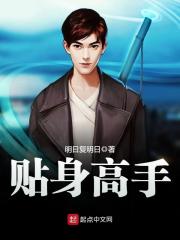 《贴身高手》（校对版全本）作者：明日复明日 封面