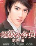 《超级公务员》（校对版全本）作者：水浒 封面