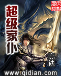 《超级家仆》（校对版全本）作者：高铁 封面
