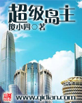 《超级岛主》（校对版全本）作者：傻小四 封面