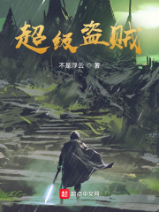 《超级盗贼》（校对版全本）作者：不是浮云 封面